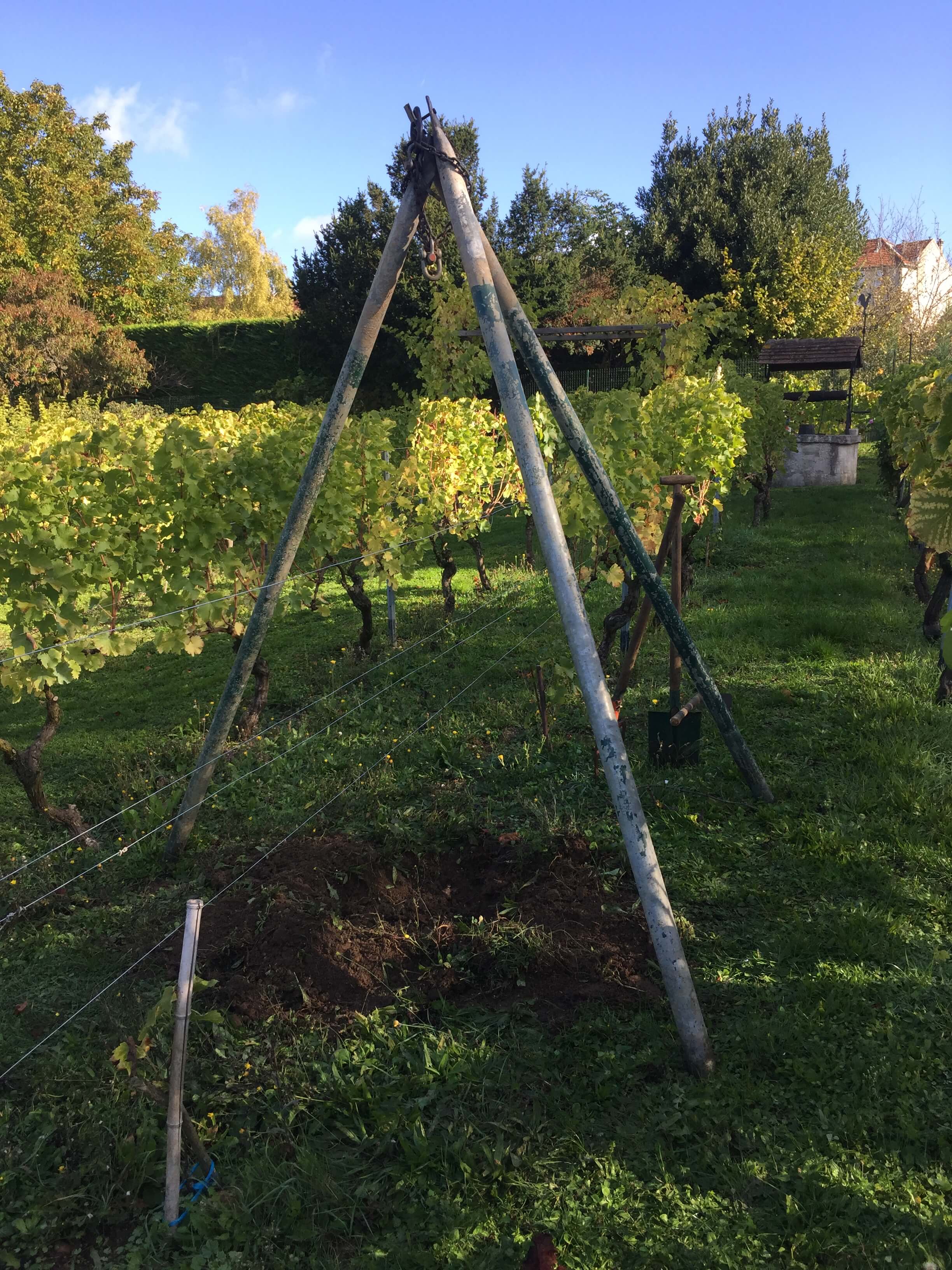 Trépied pour arracher les pieds de vignes